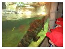 slides/DSC00768.JPG  DSC00768
